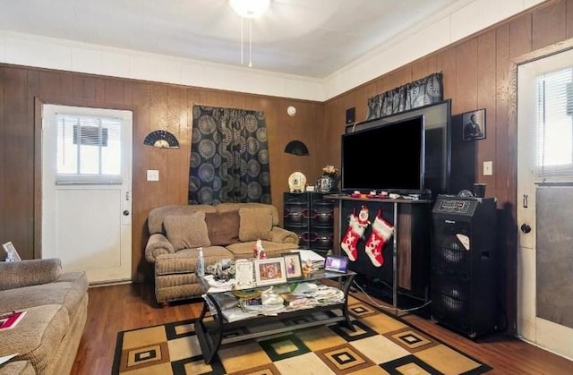 living room featuring wooden walls, hardwood / wood-style flooring, and a wealth of natural light