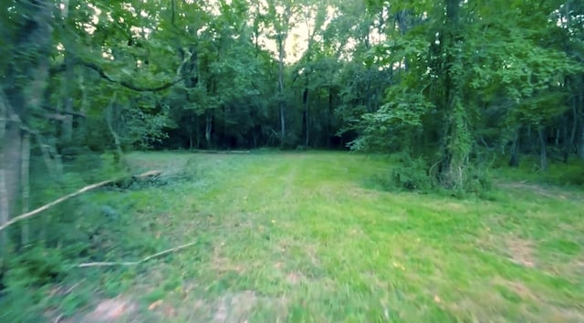 15546 Old Sour Lake Rd, Beaumont, TX 77713