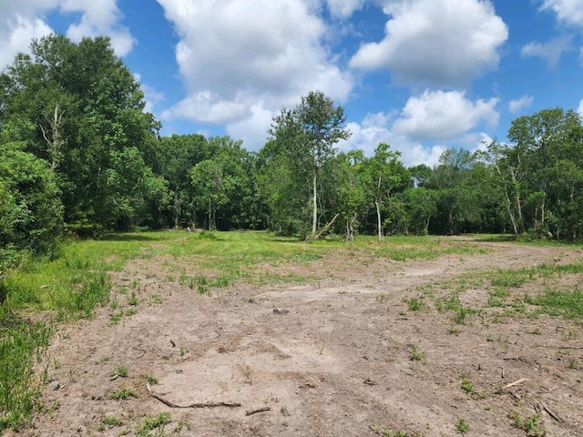 15546 Old Sour Lake Rd, Beaumont, TX 77713