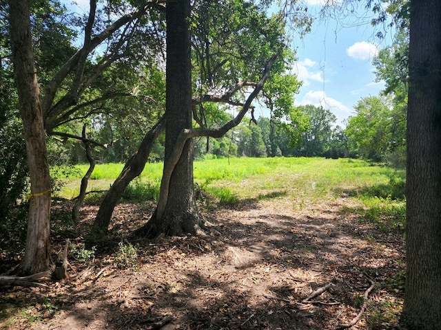 15546 Old Sour Lake Rd, Beaumont, TX 77713