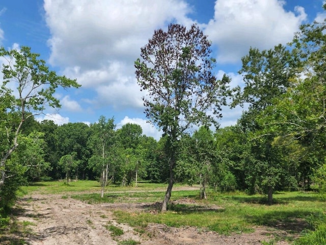 15546 Old Sour Lake Rd, Beaumont, TX 77713