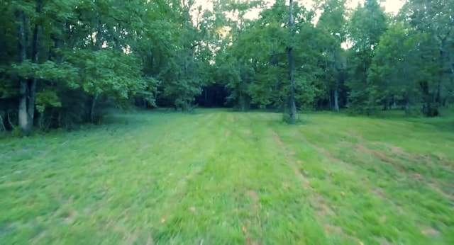 15546 Old Sour Lake Rd, Beaumont, TX 77713