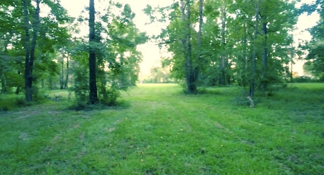 15546 Old Sour Lake Rd, Beaumont, TX 77713