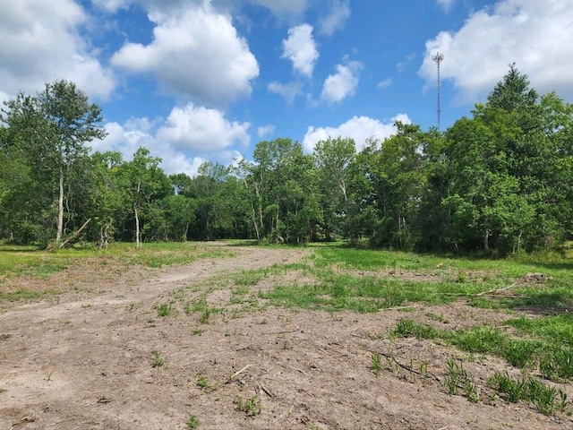 15546 Old Sour Lake Rd, Beaumont, TX 77713