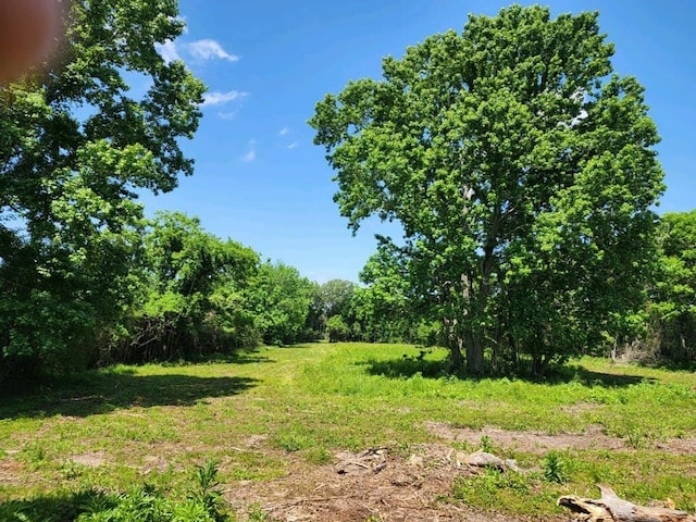 15546 Old Sour Lake Rd, Beaumont, TX 77713