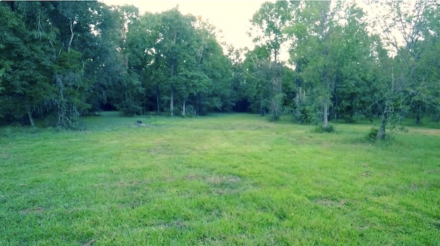 15546 Old Sour Lake Rd, Beaumont, TX 77713