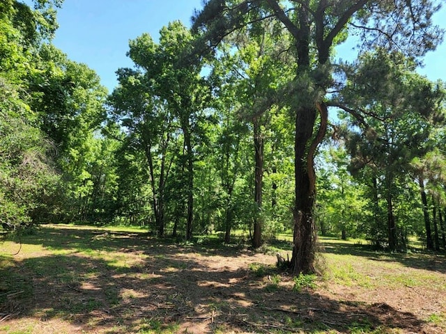 15546 Old Sour Lake Rd, Beaumont, TX 77713