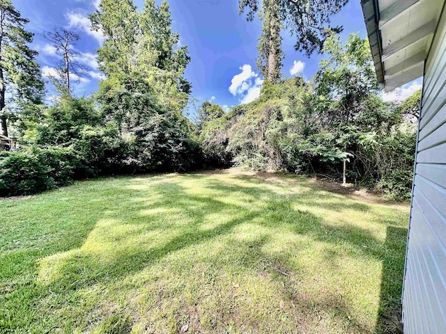 312 Temple, Woodville, TX 75979 - view of grassy yard