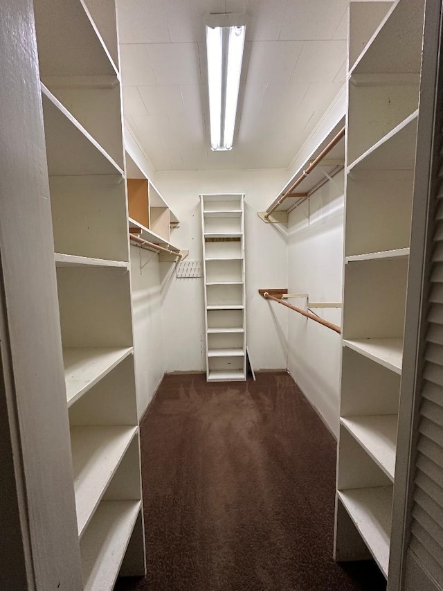 spacious closet with dark colored carpet