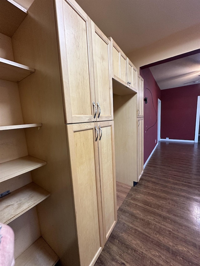 hallway with dark hardwood / wood-style flooring