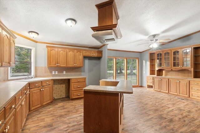 kitchen with tasteful backsplash, light hardwood / wood-style flooring, a center island, and ornamental molding