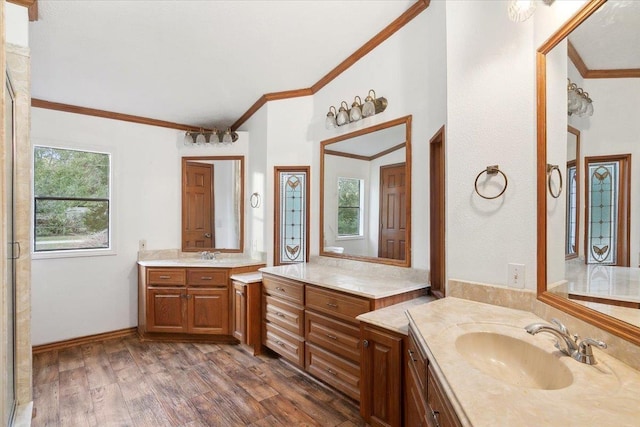 bathroom featuring hardwood / wood-style floors, vanity, and crown molding