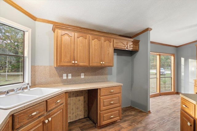 kitchen featuring dark hardwood / wood-style floors, sink, backsplash, and crown molding