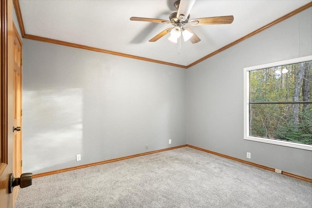 carpeted empty room featuring ceiling fan, a healthy amount of sunlight, and ornamental molding