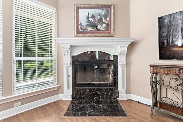 interior details with a premium fireplace and hardwood / wood-style floors