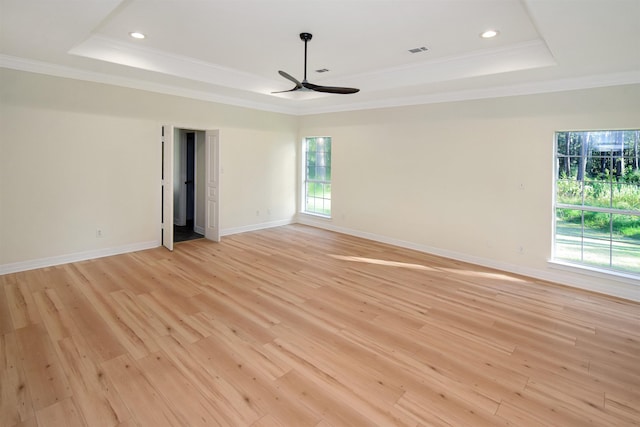 empty room featuring light wood-type flooring, a wealth of natural light, and a tray ceiling