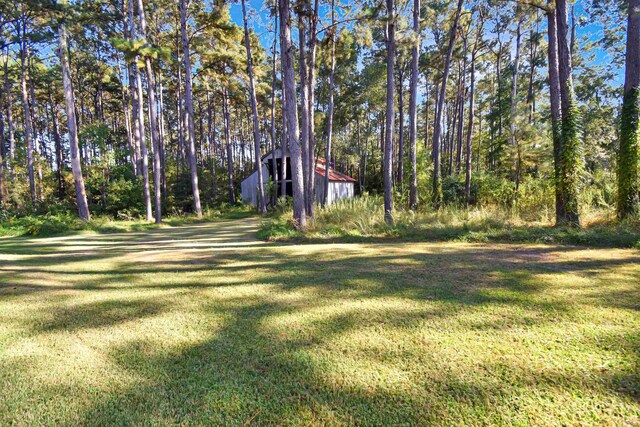 view of yard with a shed