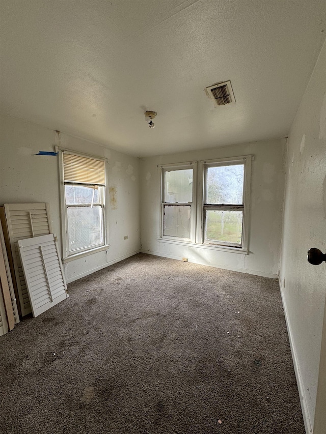 carpeted spare room with plenty of natural light and a textured ceiling