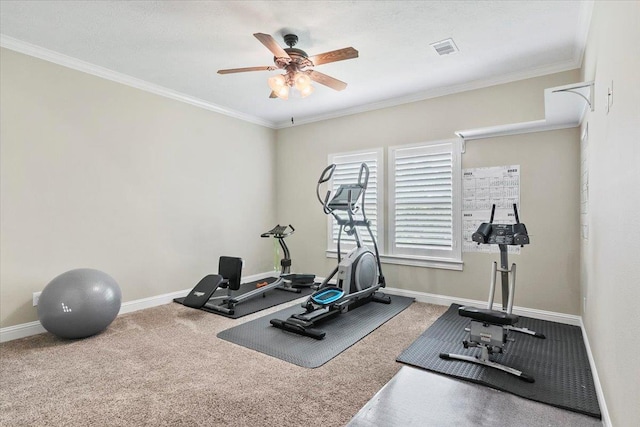 workout room with carpet flooring, ceiling fan, and crown molding