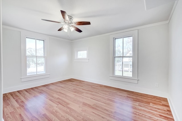 spare room with light hardwood / wood-style flooring, ceiling fan, and crown molding