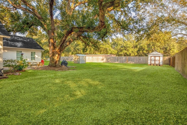 view of yard with a storage unit