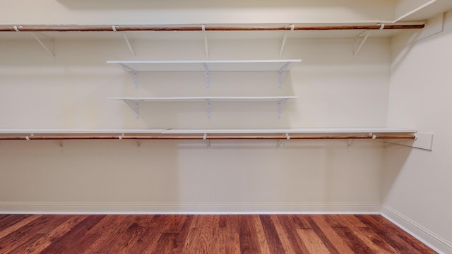 spacious closet with dark hardwood / wood-style floors