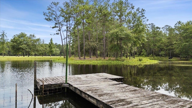 dock area with a water view