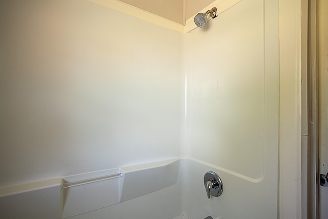 room details with bathtub / shower combination