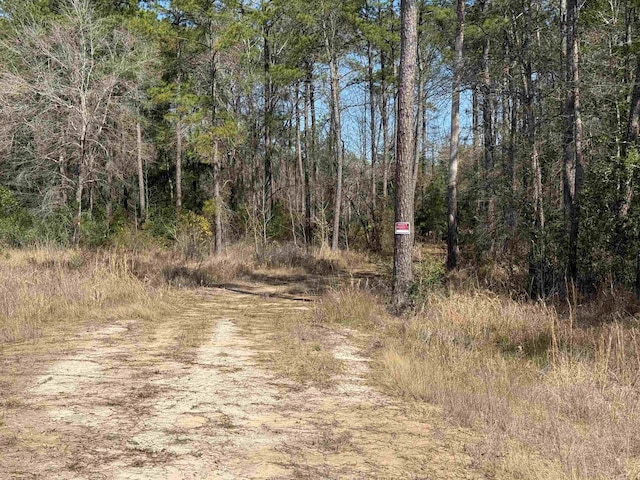 9105 Grizzly Dr, Kountze TX, 77625 land for sale