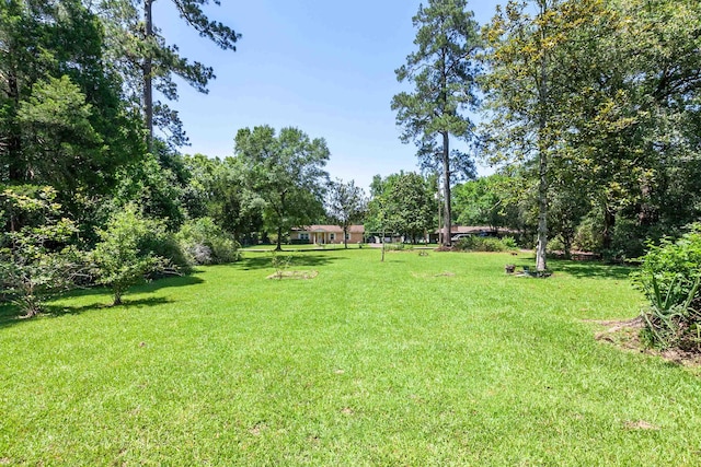 365A Oak Ln, Vidor, TX 77662 - photo 27