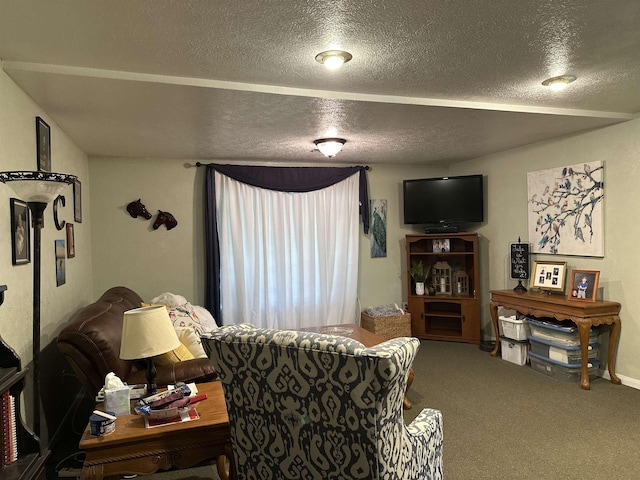 304 County Road 773, Buna, TX 77612 - carpeted living room featuring a textured ceiling