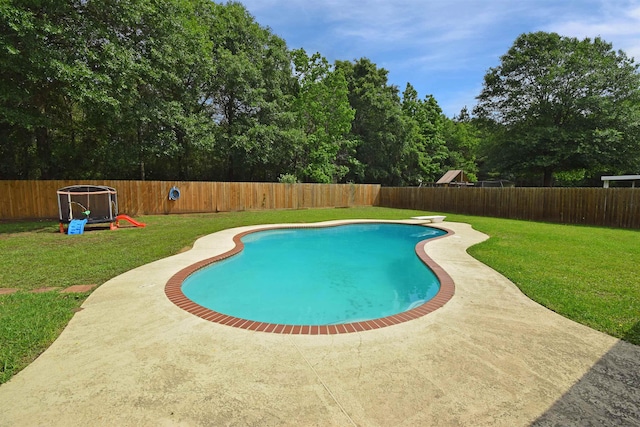 view of pool featuring a patio, a lawn, and a diving board