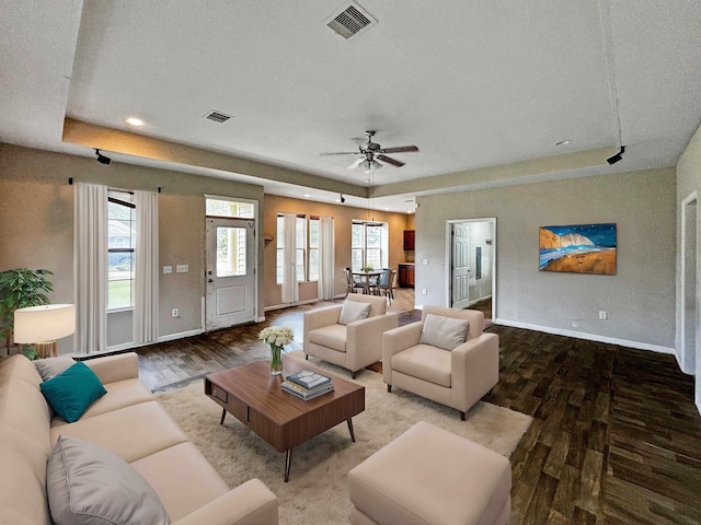 living room featuring a raised ceiling, ceiling fan, hardwood / wood-style floors, and a healthy amount of sunlight