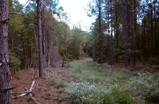 Listing photo 3 for R87181LOT19 Fm 2680, Lufkin TX 75901