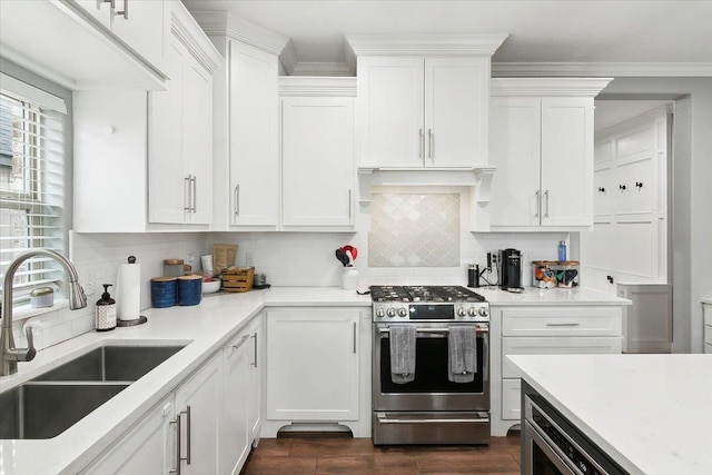 kitchen with stainless steel gas range, sink, tasteful backsplash, crown molding, and white cabinets