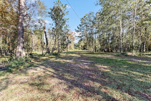 750 W Walton Rd, Lumberton TX, 77657 land for sale