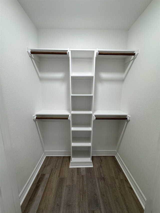 spacious closet with dark wood-style flooring