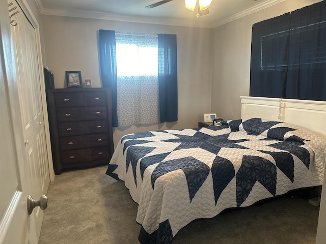 carpeted bedroom featuring ornamental molding, a closet, and ceiling fan