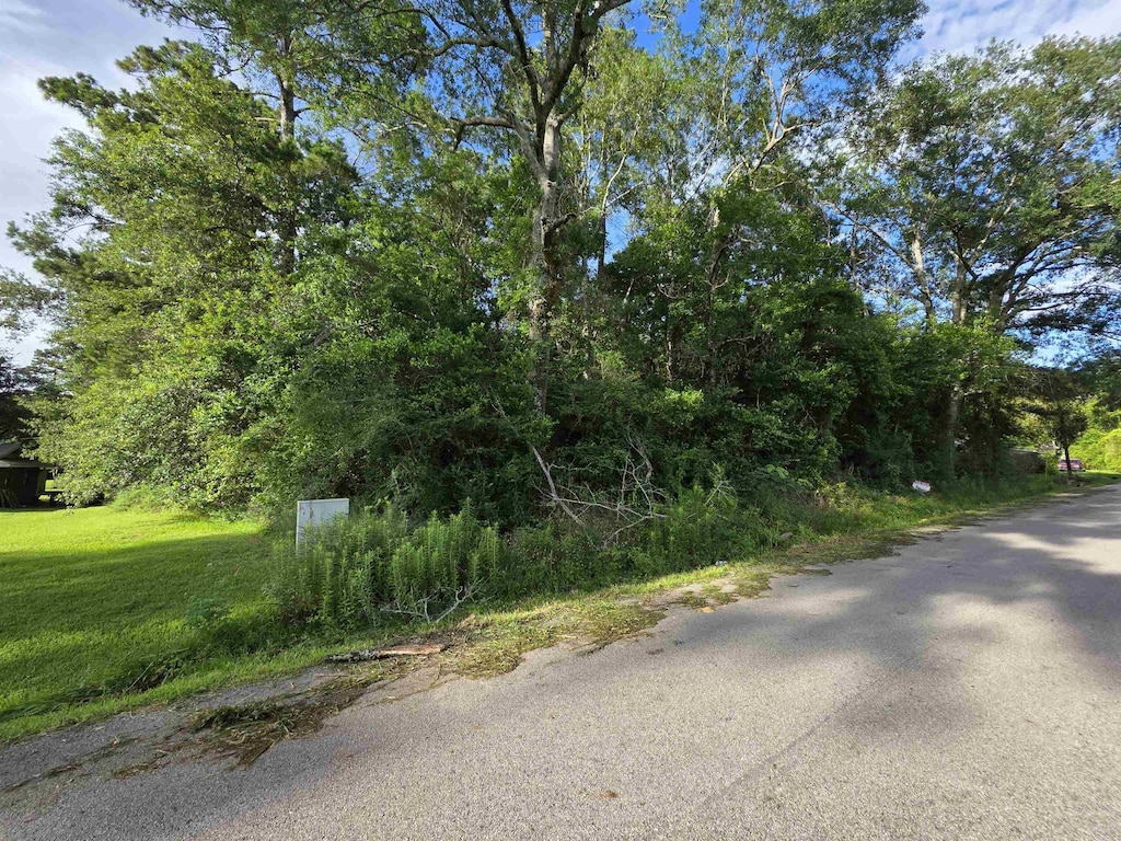 880 County Road 740, Buna, TX 77612 - photo 4