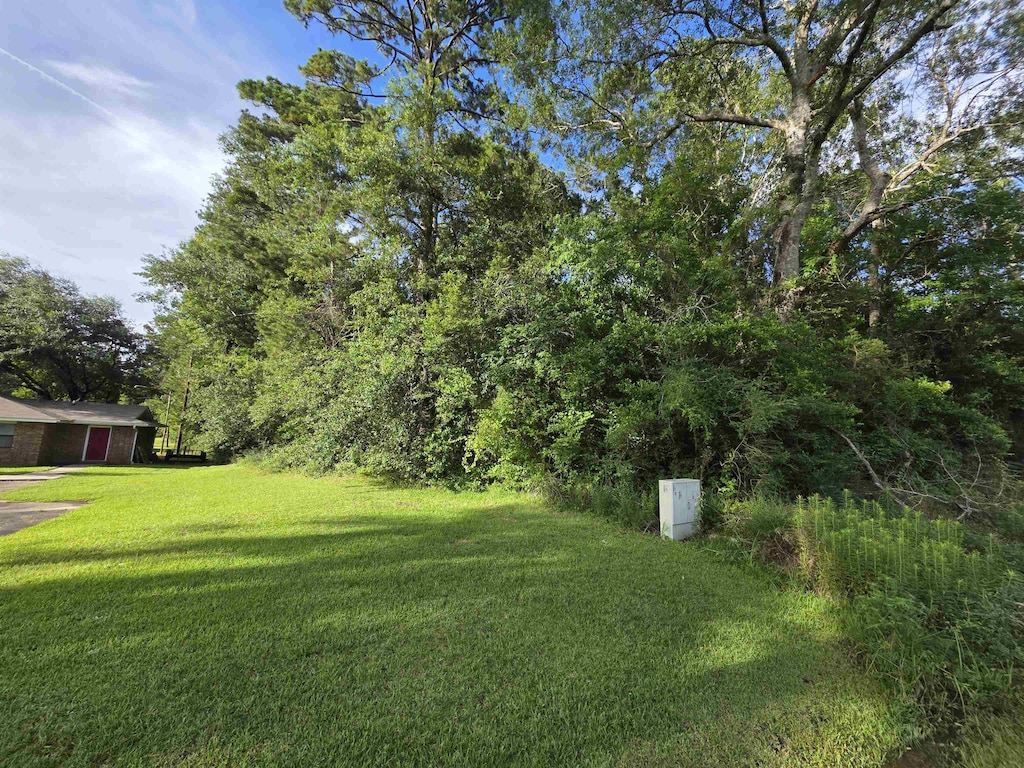 880 County Road 740, Buna, TX 77612 - photo 2