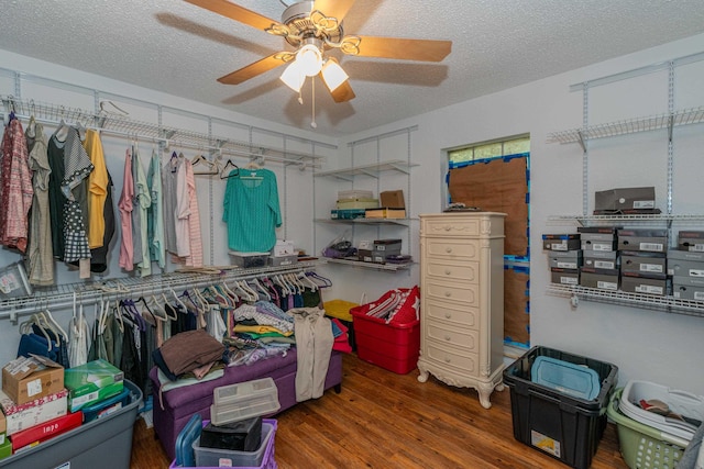 walk in closet with dark hardwood / wood-style floors and ceiling fan