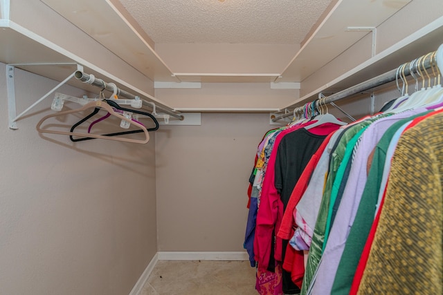 view of walk in closet