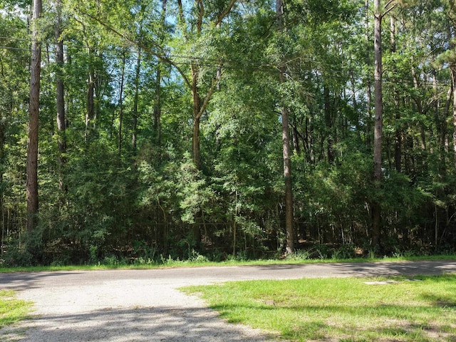 133 Marilyn St, Lumberton, TX 77657 - photo 24