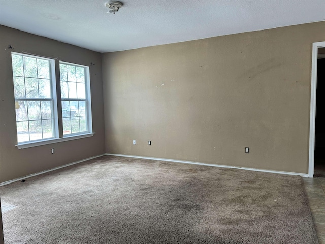 empty room with plenty of natural light and carpet flooring