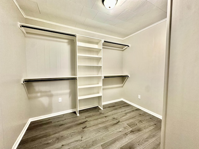 walk in closet featuring hardwood / wood-style flooring