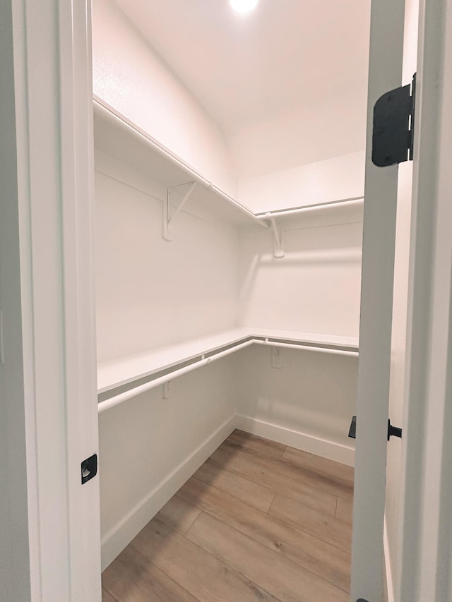 spacious closet featuring light hardwood / wood-style flooring