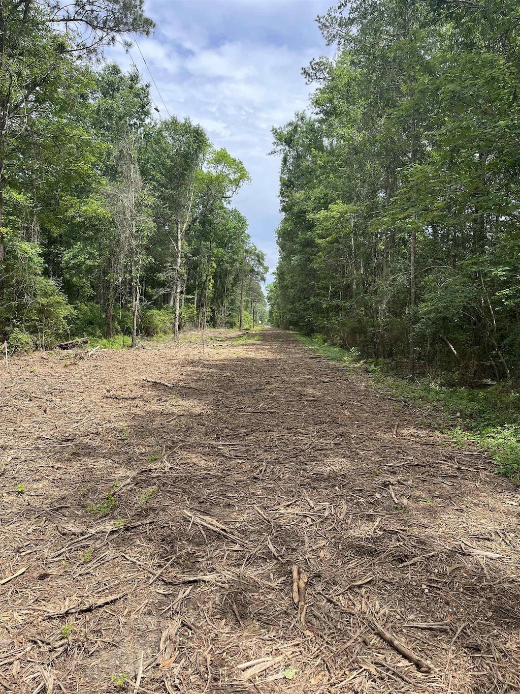 800 W Tram Rd, Vidor, TX 77662 - photo 1