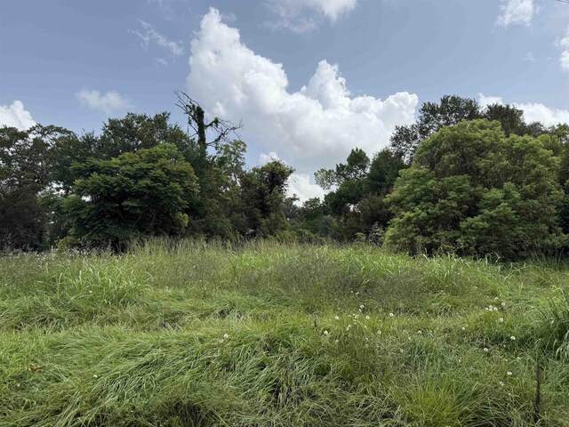 612 W Cypress Ave, Orange, TX 77630 - photo 2