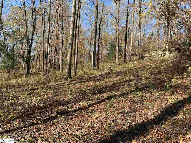 194 Catnip Trl, Landrum SC, 29356 land for sale