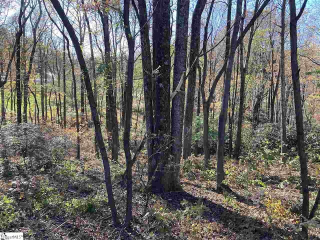 The Cliffs Pkwy Lot 33B, Landrum SC, 29356 land for sale